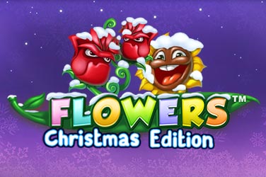 Flowers Christmas Edition slot - mängi tasuta