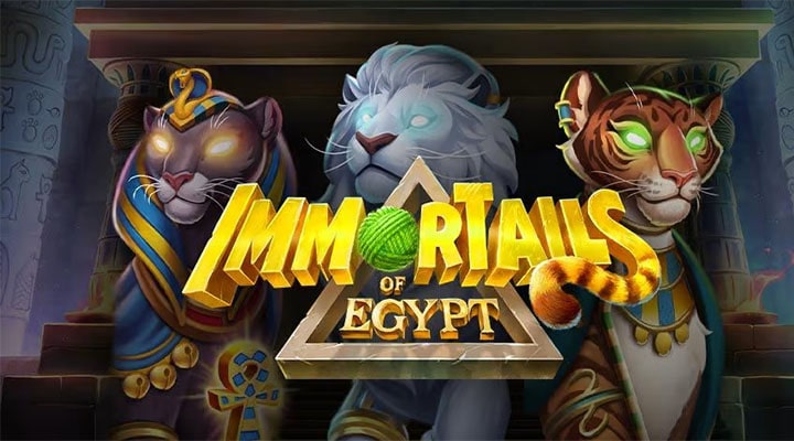 Mängi Paf kasiinos ImmorTails of Egypt slotimängu ja saad €10 tasuta boonusraha